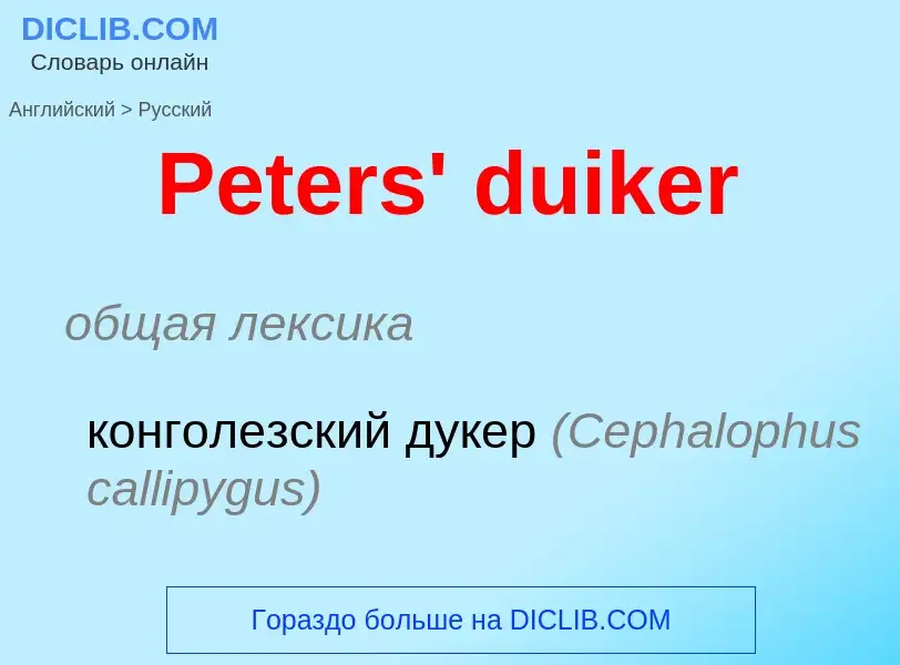 ¿Cómo se dice Peters' duiker en Ruso? Traducción de &#39Peters' duiker&#39 al Ruso