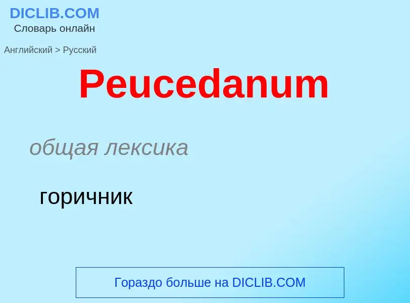 Как переводится Peucedanum на Русский язык