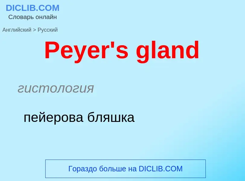 ¿Cómo se dice Peyer's gland en Ruso? Traducción de &#39Peyer's gland&#39 al Ruso