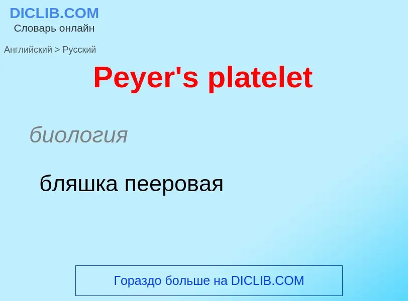 ¿Cómo se dice Peyer's platelet en Ruso? Traducción de &#39Peyer's platelet&#39 al Ruso