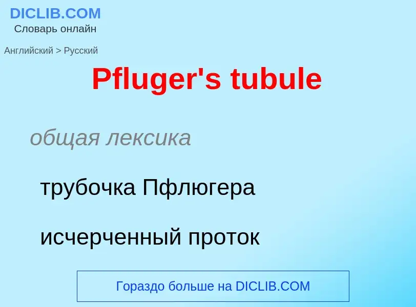 ¿Cómo se dice Pfluger's tubule en Ruso? Traducción de &#39Pfluger's tubule&#39 al Ruso