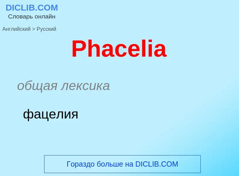 Как переводится Phacelia на Русский язык