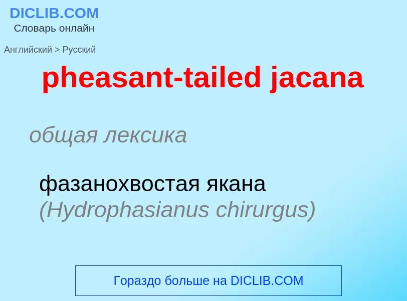 What is the Russian for pheasant-tailed jacana? Translation of &#39pheasant-tailed jacana&#39 to Rus