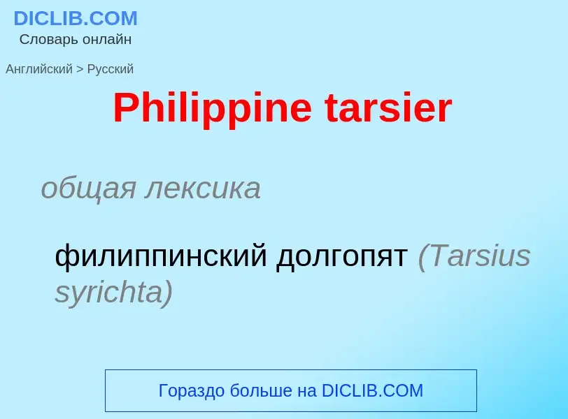 ¿Cómo se dice Philippine tarsier en Ruso? Traducción de &#39Philippine tarsier&#39 al Ruso