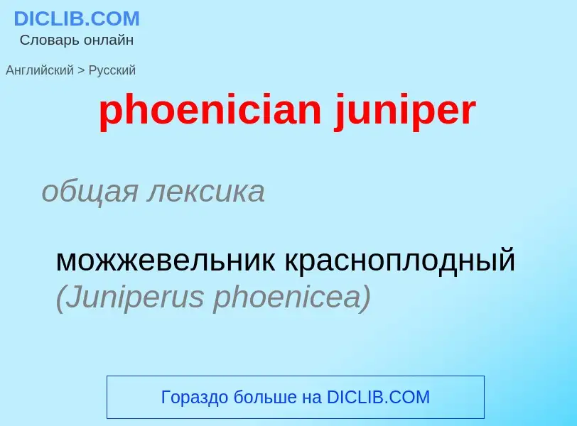 Как переводится phoenician juniper на Русский язык