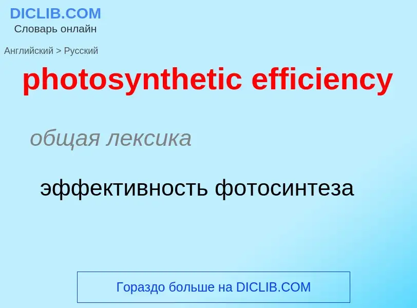 Übersetzung von &#39photosynthetic efficiency&#39 in Russisch