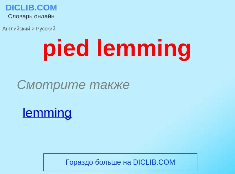 Traduzione di &#39pied lemming&#39 in Russo