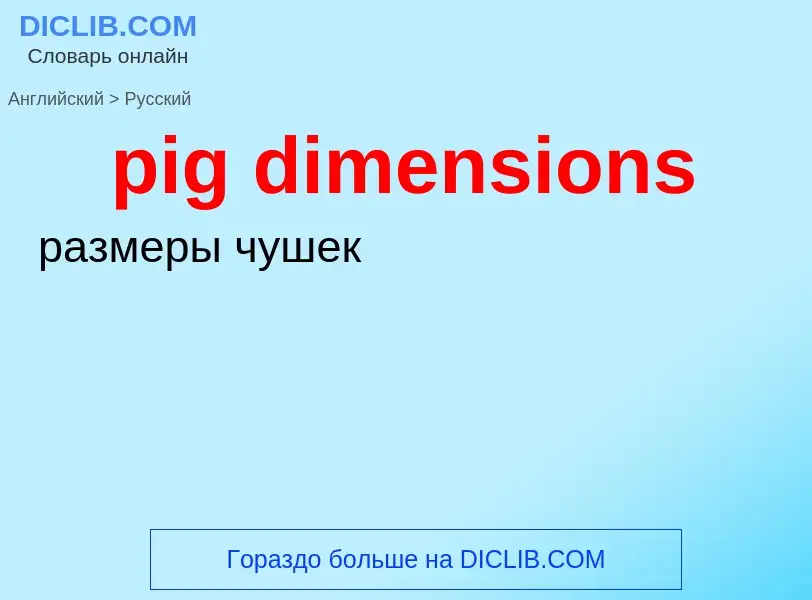 Как переводится pig dimensions на Русский язык