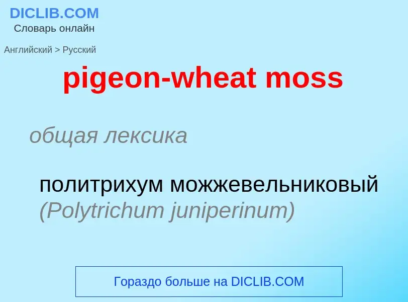 What is the Russian for pigeon-wheat moss? Translation of &#39pigeon-wheat moss&#39 to Russian