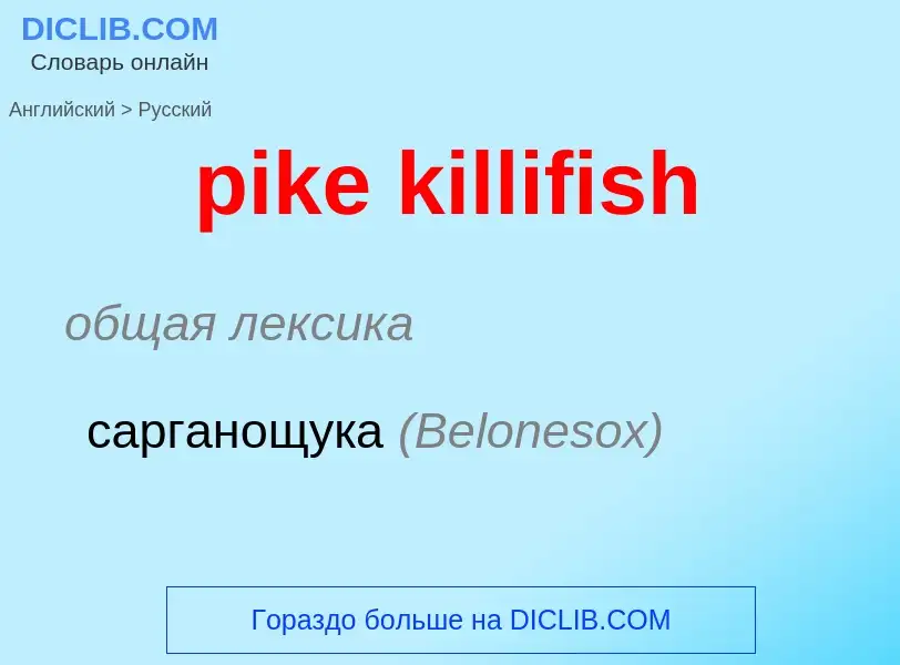 ¿Cómo se dice pike killifish en Ruso? Traducción de &#39pike killifish&#39 al Ruso