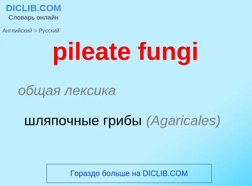 Traduction de &#39pileate fungi&#39 en Russe