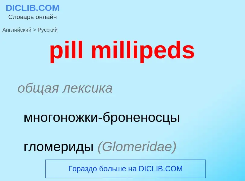 Como se diz pill millipeds em Russo? Tradução de &#39pill millipeds&#39 em Russo