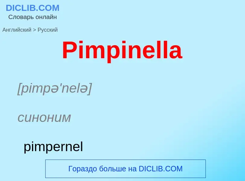 ¿Cómo se dice Pimpinella en Ruso? Traducción de &#39Pimpinella&#39 al Ruso