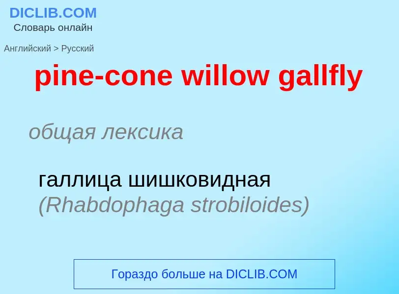 Traduzione di &#39pine-cone willow gallfly&#39 in Russo