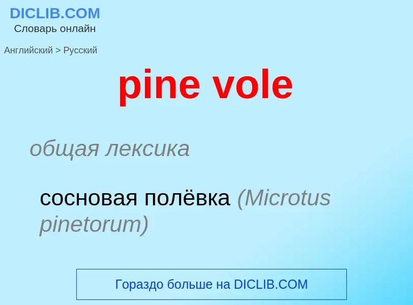 ¿Cómo se dice pine vole en Ruso? Traducción de &#39pine vole&#39 al Ruso