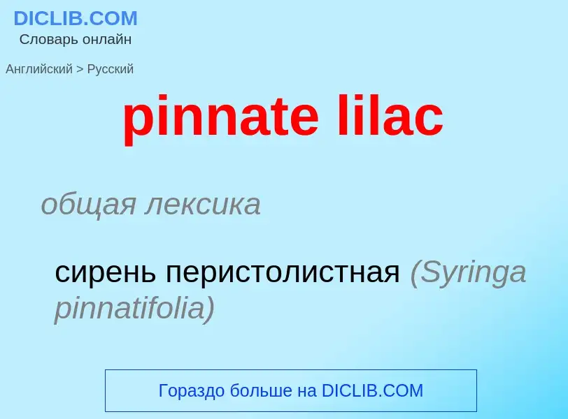 Como se diz pinnate lilac em Russo? Tradução de &#39pinnate lilac&#39 em Russo