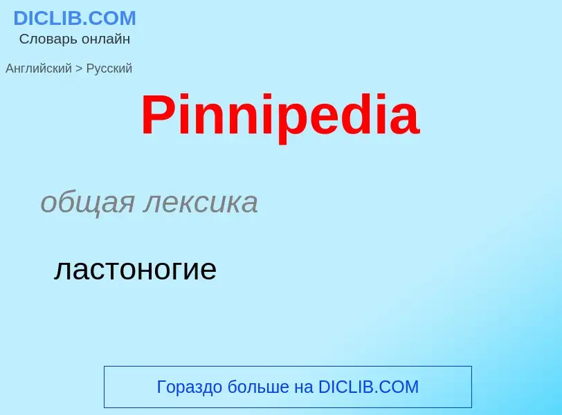 ¿Cómo se dice Pinnipedia en Ruso? Traducción de &#39Pinnipedia&#39 al Ruso