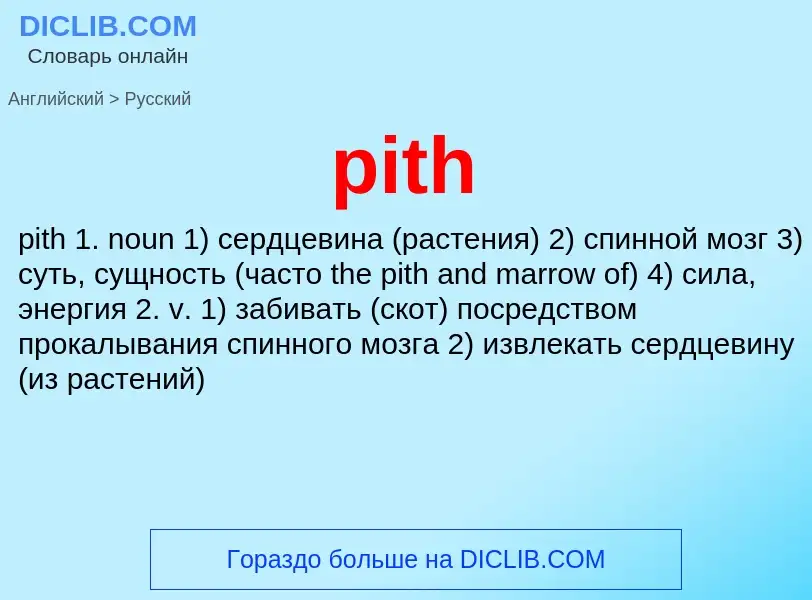 Как переводится pith на Русский язык