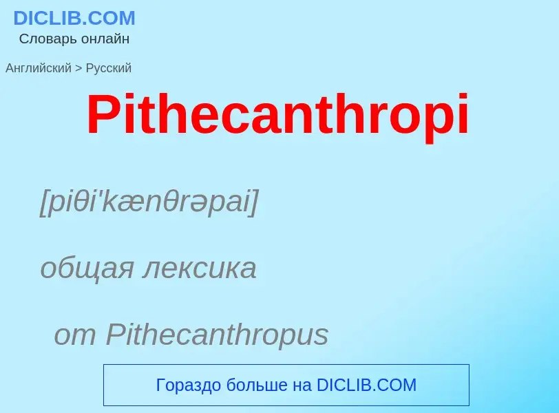 ¿Cómo se dice Pithecanthropi en Ruso? Traducción de &#39Pithecanthropi&#39 al Ruso