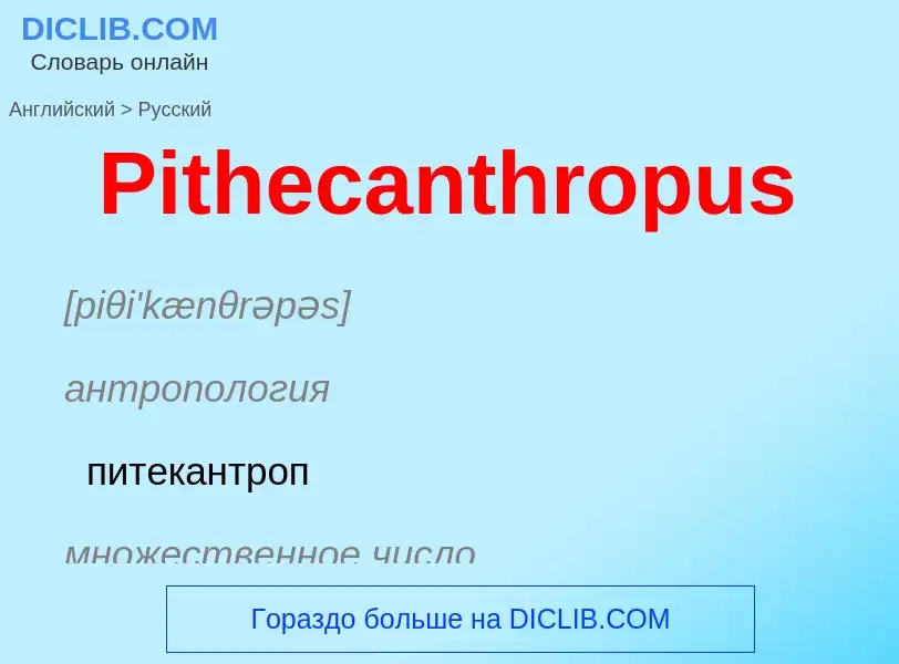 ¿Cómo se dice Pithecanthropus en Ruso? Traducción de &#39Pithecanthropus&#39 al Ruso