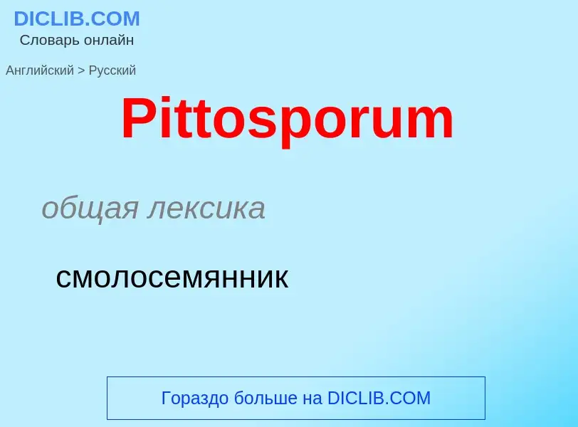 ¿Cómo se dice Pittosporum en Ruso? Traducción de &#39Pittosporum&#39 al Ruso