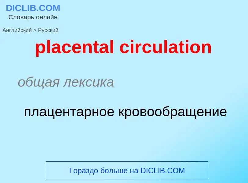 Как переводится placental circulation на Русский язык