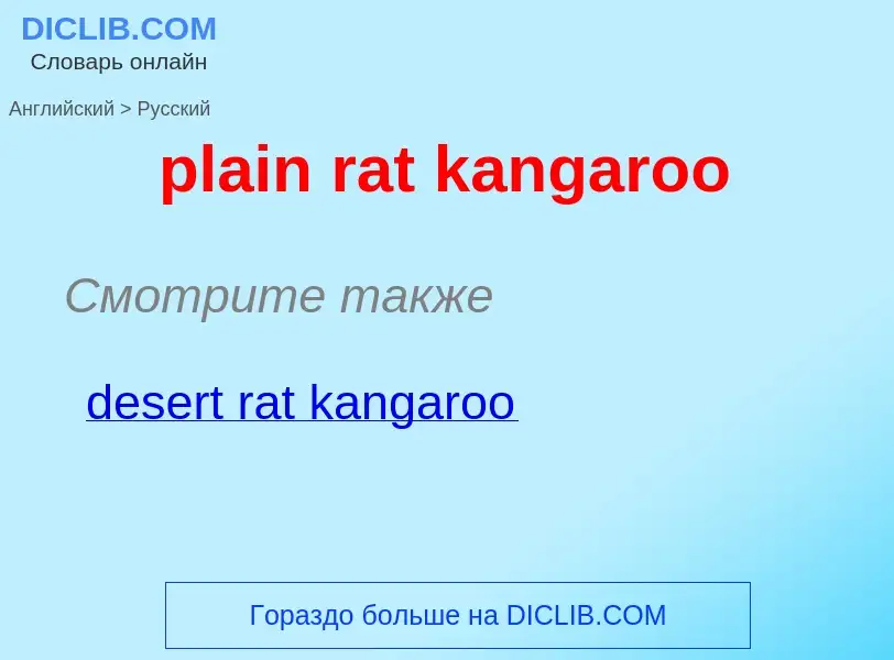 Как переводится plain rat kangaroo на Русский язык