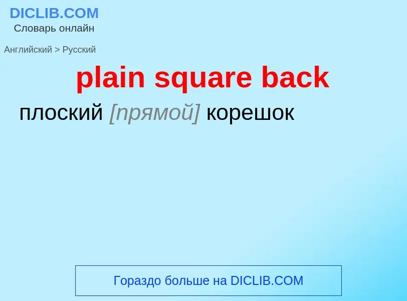 What is the Russian for plain square back? Translation of &#39plain square back&#39 to Russian