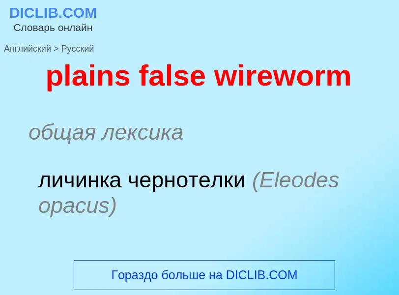 Traduzione di &#39plains false wireworm&#39 in Russo