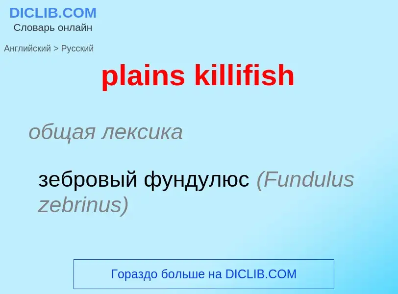 Как переводится plains killifish на Русский язык