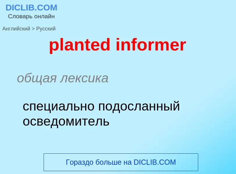 Как переводится planted informer на Русский язык