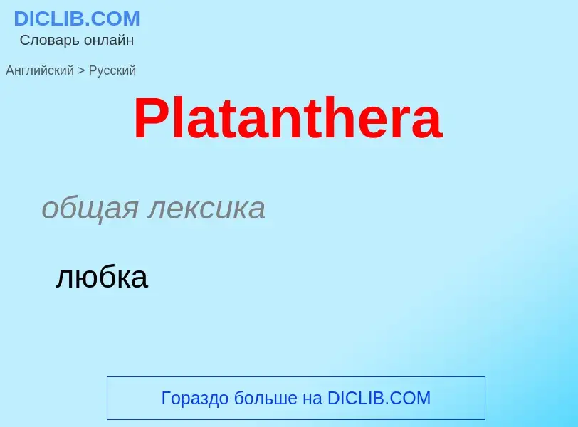 ¿Cómo se dice Platanthera en Ruso? Traducción de &#39Platanthera&#39 al Ruso