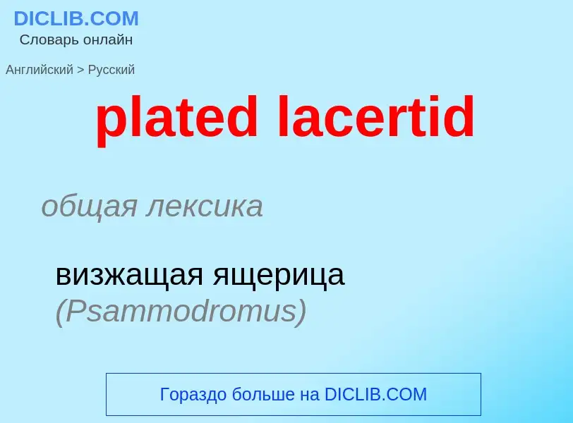 Как переводится plated lacertid на Русский язык