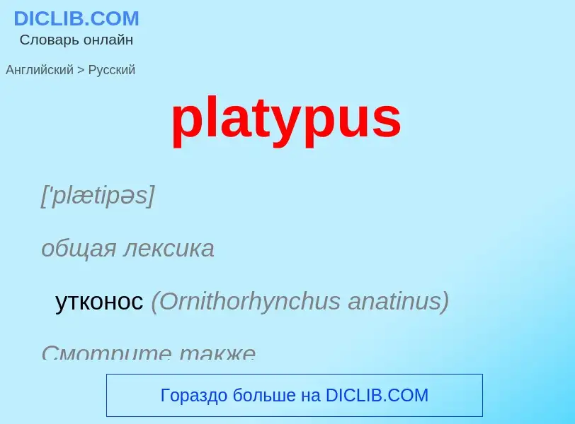 What is the Russian for platypus? Translation of &#39platypus&#39 to Russian