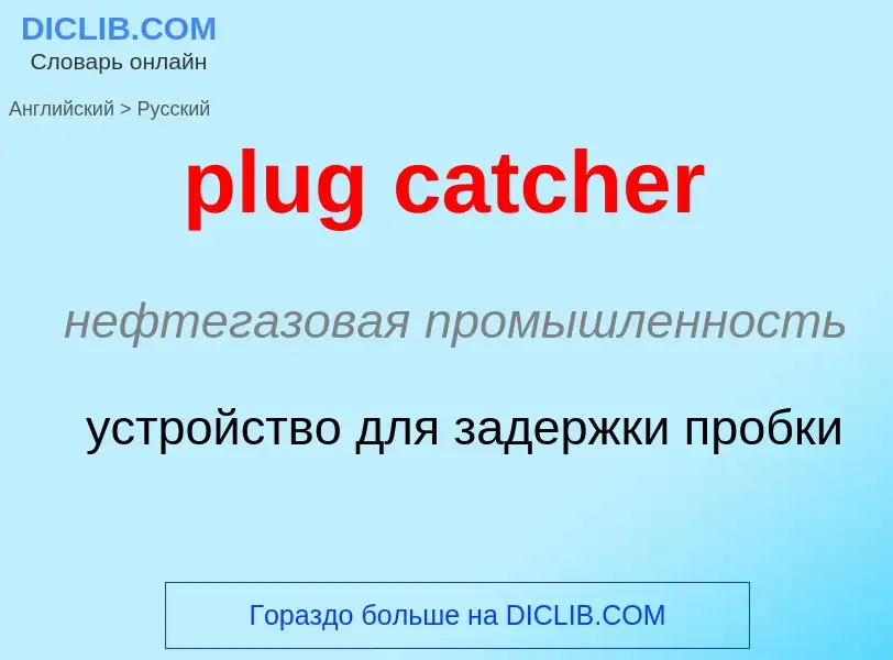 Как переводится plug catcher на Русский язык