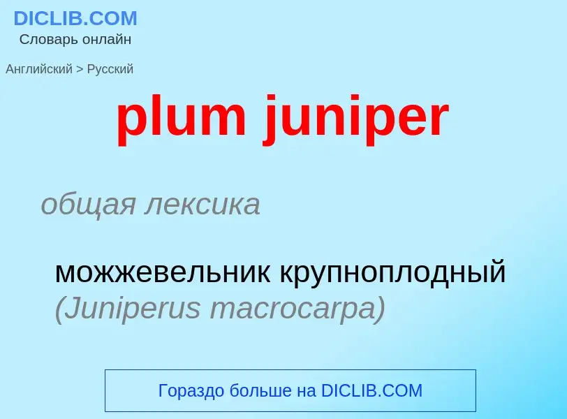 Как переводится plum juniper на Русский язык