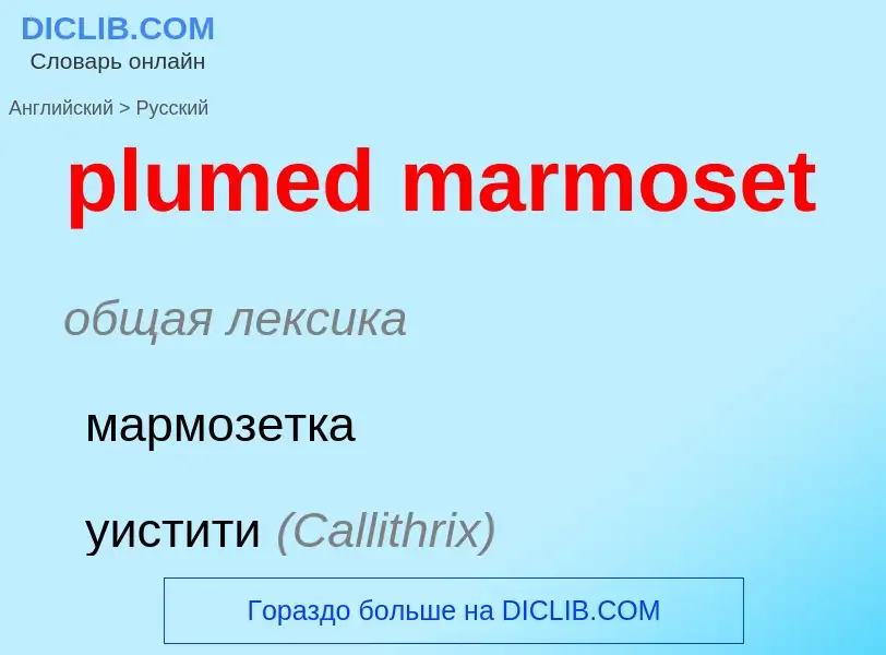 Как переводится plumed marmoset на Русский язык