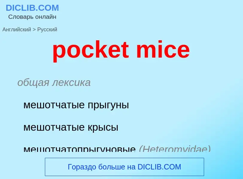 Как переводится pocket mice на Русский язык