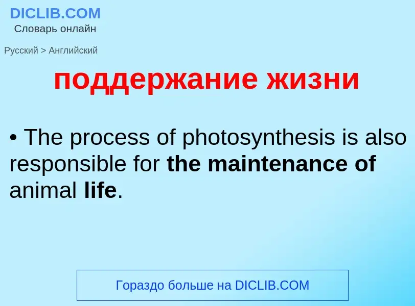 ¿Cómo se dice поддержание жизни en Inglés? Traducción de &#39поддержание жизни&#39 al Inglés