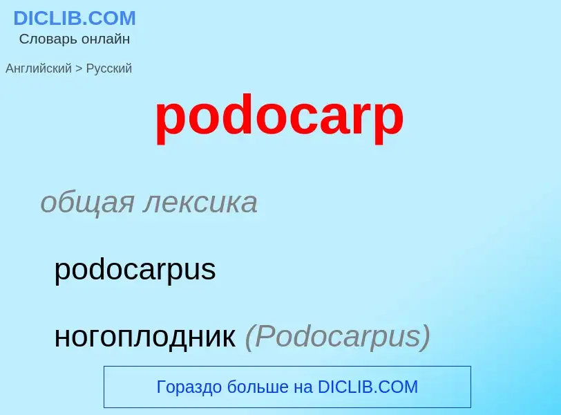 ¿Cómo se dice podocarp en Ruso? Traducción de &#39podocarp&#39 al Ruso