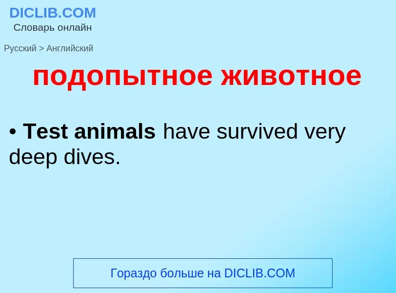 ¿Cómo se dice подопытное животное en Inglés? Traducción de &#39подопытное животное&#39 al Inglés