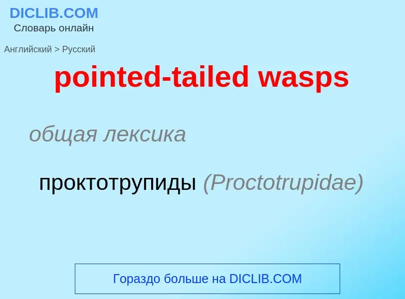 What is the Russian for pointed-tailed wasps? Translation of &#39pointed-tailed wasps&#39 to Russian