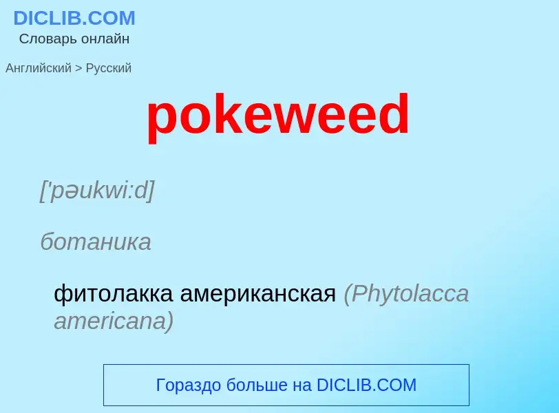 What is the الروسية for pokeweed? Translation of &#39pokeweed&#39 to الروسية