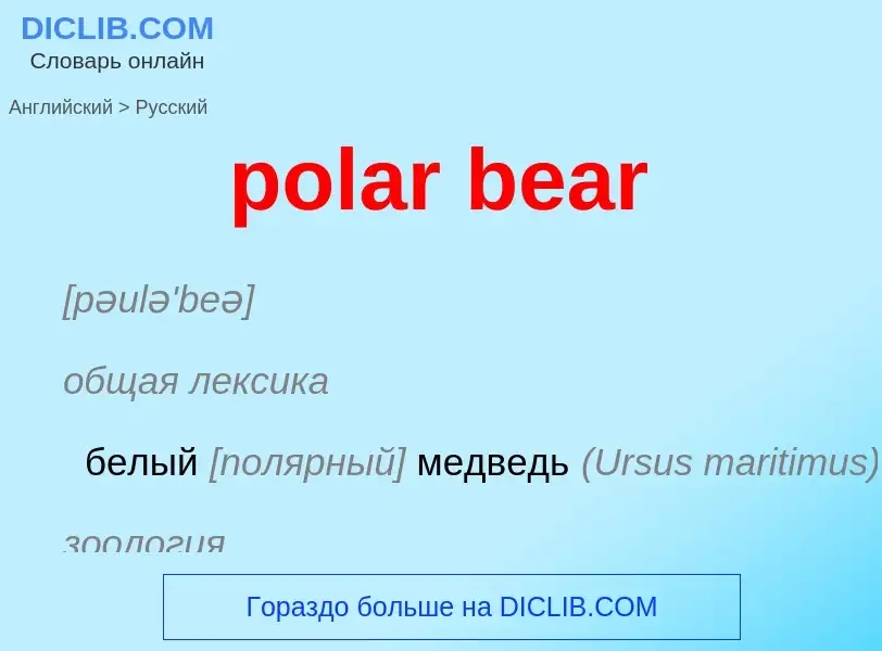 Traduzione di &#39polar bear&#39 in Russo