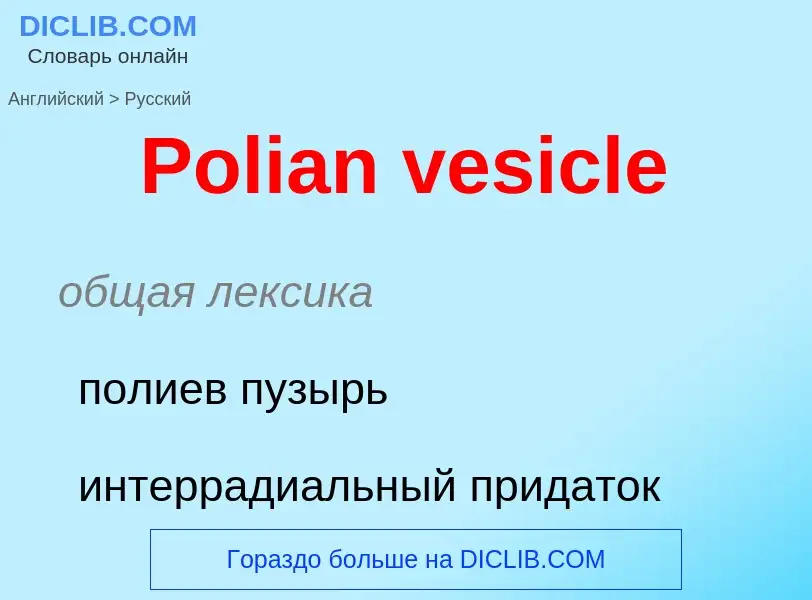 ¿Cómo se dice Polian vesicle en Ruso? Traducción de &#39Polian vesicle&#39 al Ruso