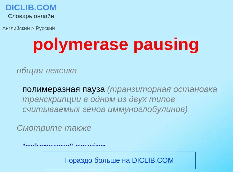 Как переводится polymerase pausing на Русский язык