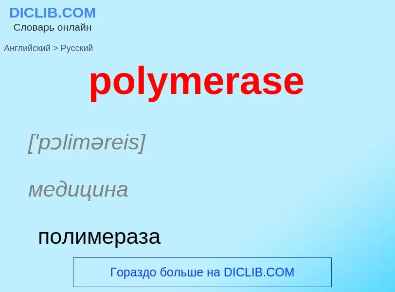 Как переводится polymerase на Русский язык