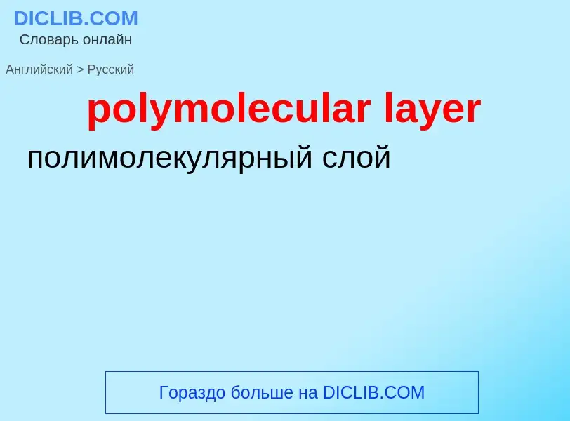 Как переводится polymolecular layer на Русский язык