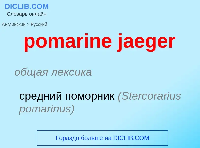 Как переводится pomarine jaeger на Русский язык