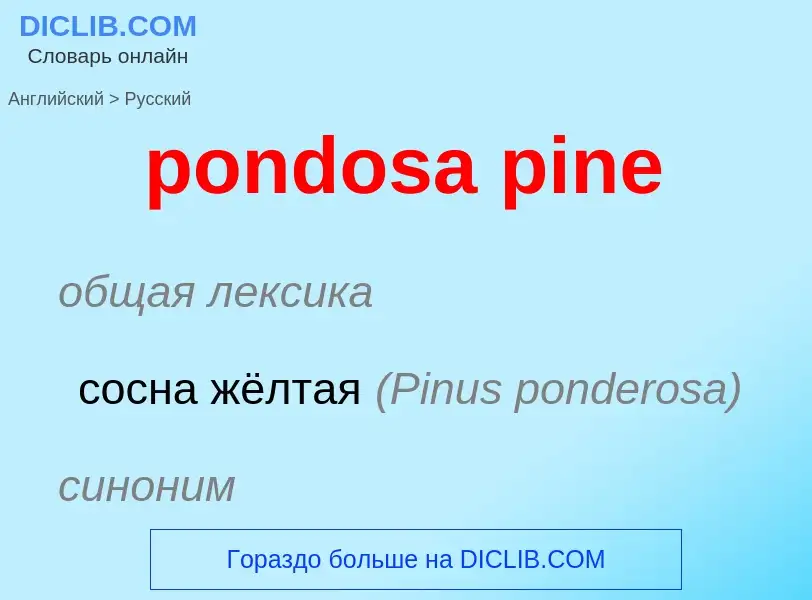 Vertaling van &#39pondosa pine&#39 naar Russisch